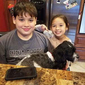 Meet your Posher, Ann